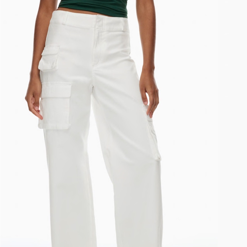 Aritizia Cargo Pants